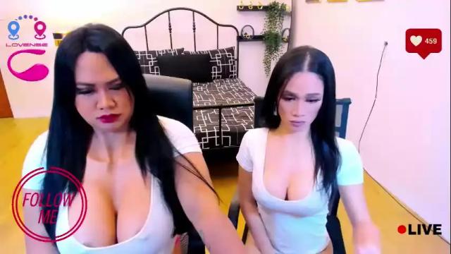 Image 4 of 11incbighorsecock Stream on Chaturbate on 19 months ago