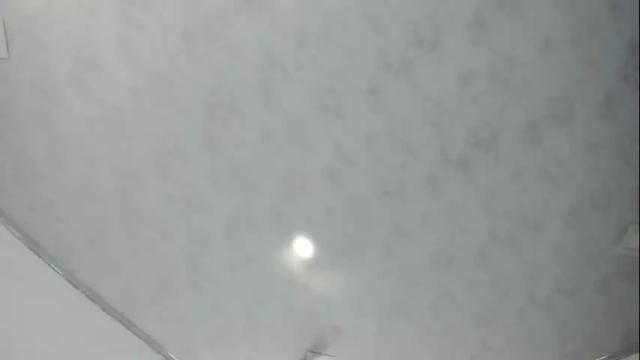 Image 8 of 19adam98 Stream on Chaturbate on 1 month ago