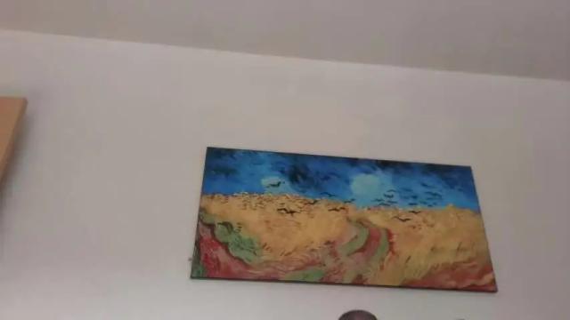 Image 2 of 2colours Stream on Chaturbate on 22 months ago