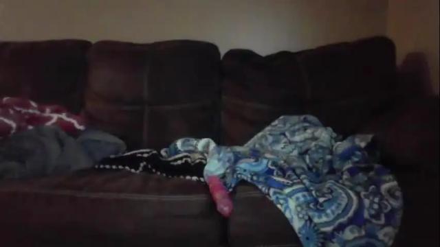 Image 4 of 3threesome3 Stream on Chaturbate on 2 months ago