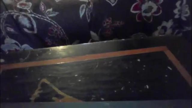 Image 11 of 3threesome3 Stream on Chaturbate on 1 month ago