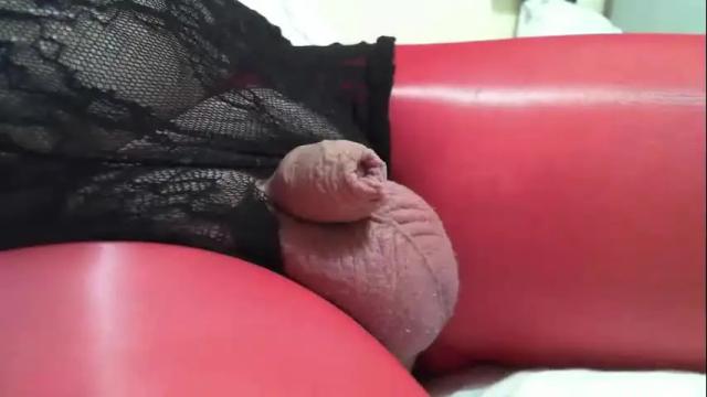 Image 10 of 69lushcd Stream on Chaturbate on 21 days ago