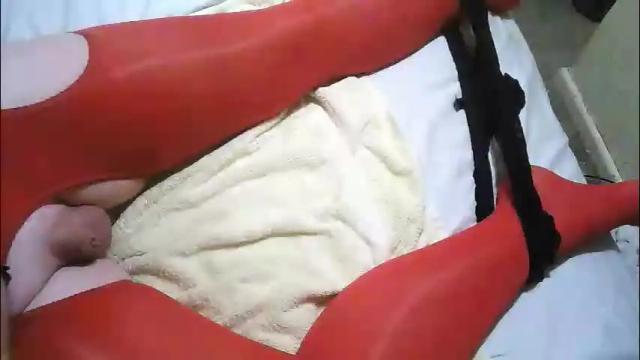 Image 7 of 69lushcd Stream on Chaturbate on 2 months ago
