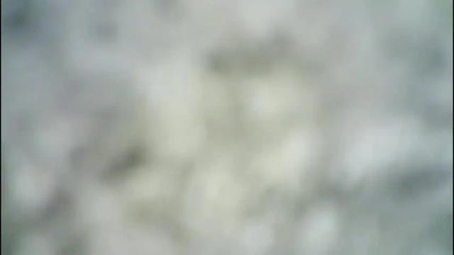 Image 12 of 77lilu Stream on Chaturbate on 7 days ago