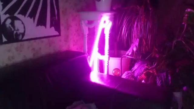 Image 11 of 80s_brat Stream on Chaturbate on 16 months ago