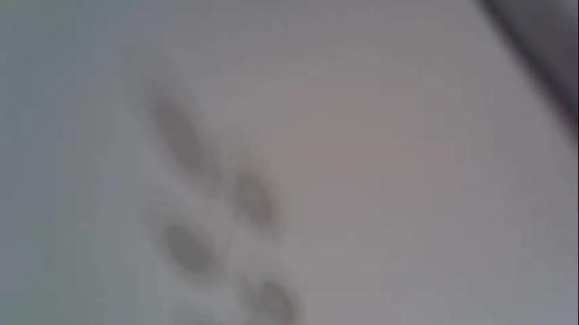 Image 10 of _alo Stream on Chaturbate on 1 month ago