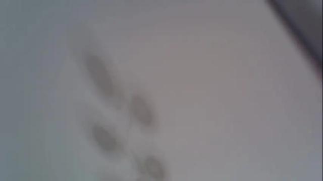 Image 11 of _alo Stream on Chaturbate on 1 month ago