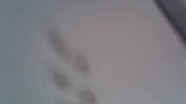 Image 12 of _alo Stream on Chaturbate on 1 month ago