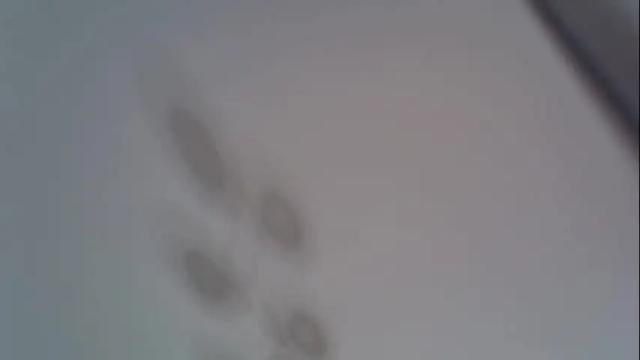 Thumbnail 3, _alo's Stream at Chaturbate, 1 month ago