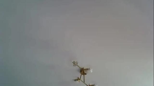 Image 11 of _alo Stream on Chaturbate on 1 month ago