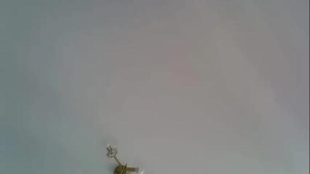 Image 11 of _alo Stream on Chaturbate on 8 days ago