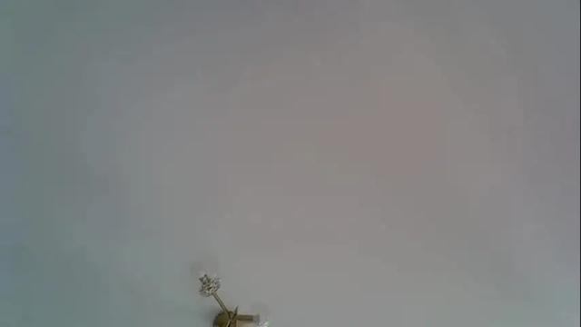 Image 12 of _alo Stream on Chaturbate on 8 days ago