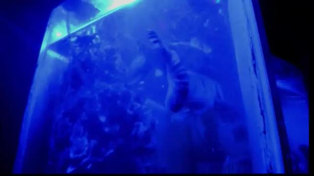 Image 11 of _always__horny Stream on Chaturbate on 5 days ago