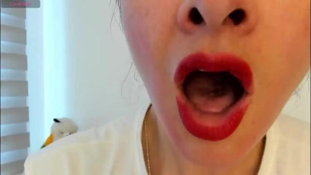 Image 10 of _antomouth_paradise Stream on Chaturbate on 1 month ago