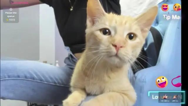 Thumbnail 1, _candy_jade_'s Stream at Chaturbate, 18 days ago