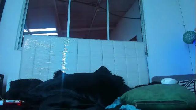 Image 2 of _caro_lyne_ Stream on Chaturbate on 18 days ago