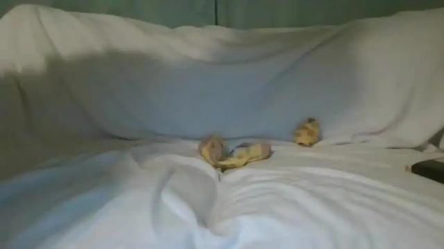 Image 4 of _domnatermsi Stream on Chaturbate on 19 months ago