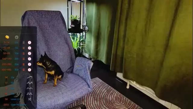 Thumbnail 2, _goldilocks__'s Stream at Chaturbate, 16 days ago