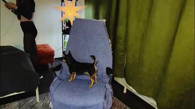 Thumbnail 2, _goldilocks__'s Stream at Chaturbate, 5 days ago