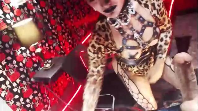 Image 12 of _hailyourqueenx Stream on Chaturbate on 2 months ago
