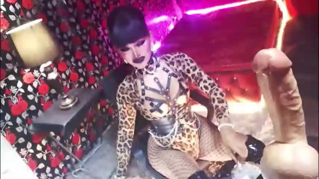 Image 3 of _hailyourqueenx Stream on Chaturbate on 1 month ago