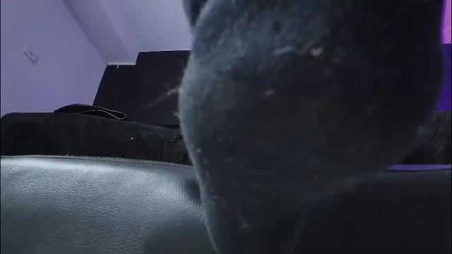 Image 4 of _jade_16 Stream on Chaturbate on 11 days ago