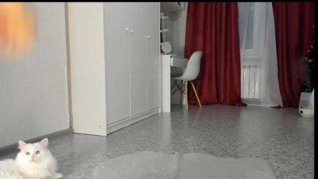 Thumbnail 1, _kimm__'s Stream at Chaturbate, 17 months ago