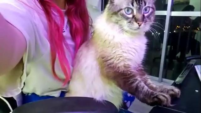 Thumbnail 3, _lunaa__'s Stream at Chaturbate, 1 month ago