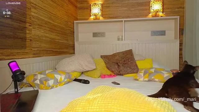 Image 12 of _mari_ Stream on Chaturbate on 1 month ago