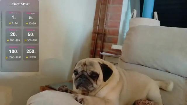 Image 12 of _mari_ Stream on Chaturbate on 1 month ago