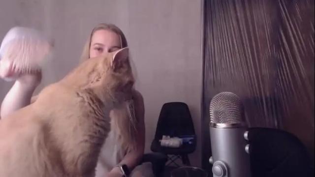 Thumbnail 1, _mother_of_cats's Stream at Chaturbate, 1 month ago