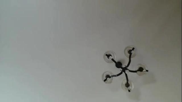 Image 6 of _pretty_cherry_ Stream on Chaturbate on 2 months ago