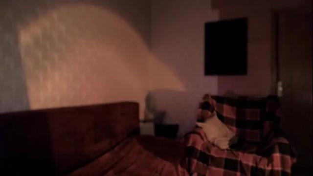 Image 8 of _pure_joy Stream on Chaturbate on 14 days ago
