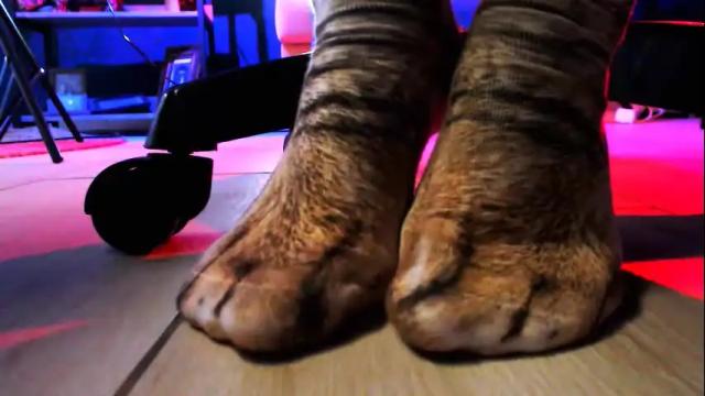 Thumbnail 1, _rockstone_'s Stream at Chaturbate, 1 month ago
