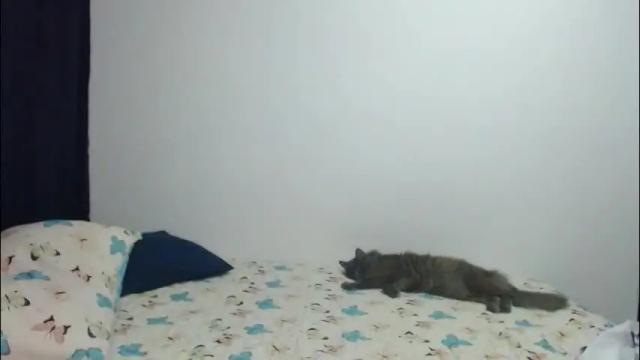 Thumbnail 2, _sofiaparker_'s Stream at Chaturbate, 2 months ago