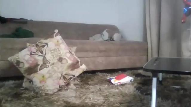 Image 10 of _tokyo01 Stream on Chaturbate on 1 month ago