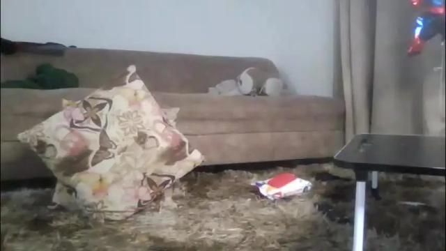 Image 12 of _tokyo01 Stream on Chaturbate on 1 month ago