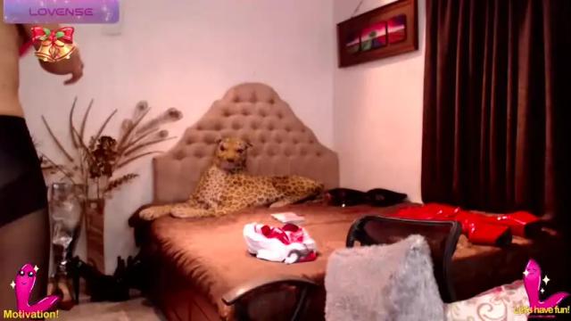 Image 6 of _urnumber1dreamgirl_ Stream on Chaturbate on 18 months ago