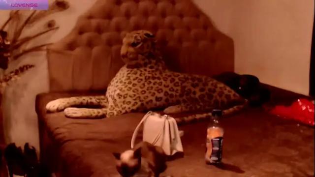 Image 6 of _urnumber1dreamgirl_ Stream on Chaturbate on 15 months ago