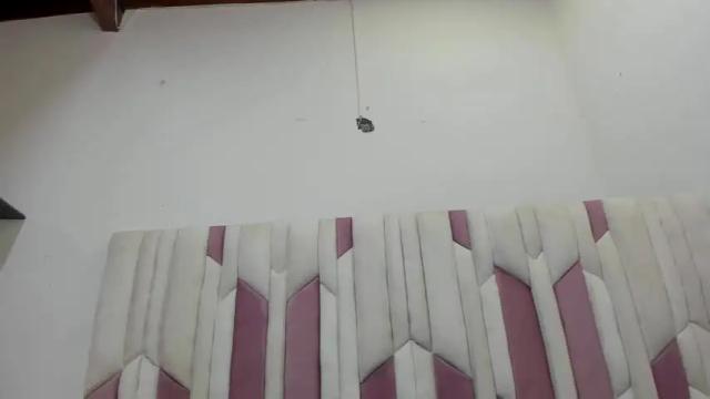 Image 2 of _victoriia_97 Stream on Chaturbate on 18 months ago