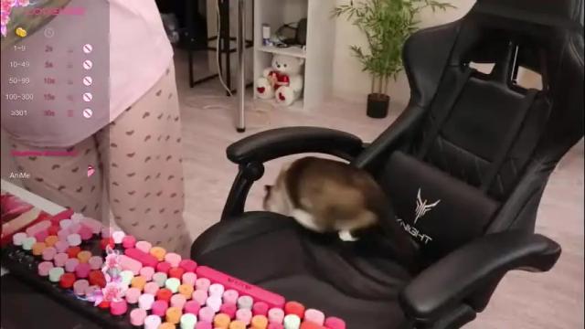 Thumbnail 3, _viv1an_'s Stream at Chaturbate, 1 month ago