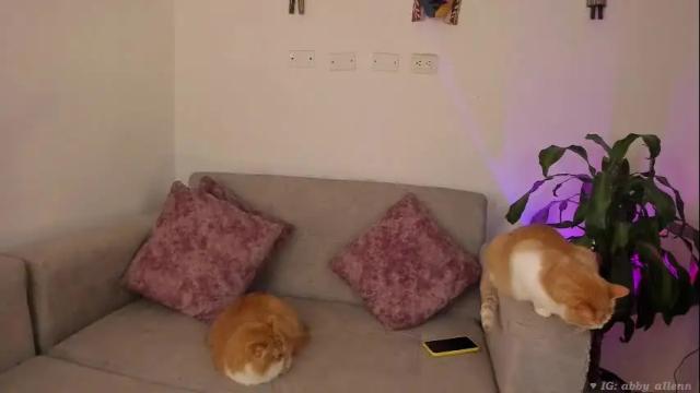 Image 6 of abbey_allen Stream on Chaturbate on 1 month ago
