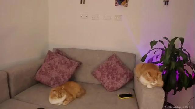Image 7 of abbey_allen Stream on Chaturbate on 1 month ago