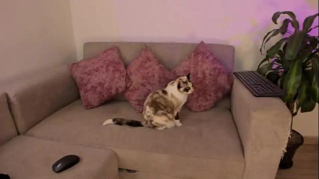Image 6 of abbey_allen Stream on Chaturbate on 10 days ago