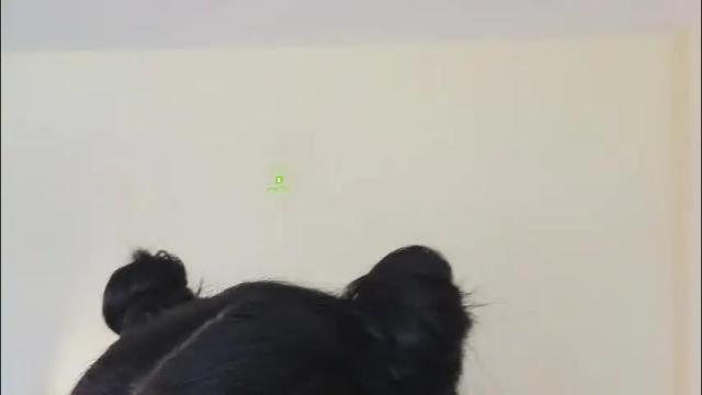 Thumbnail 1, abbeykhaled's Stream at Chaturbate, 2 months ago