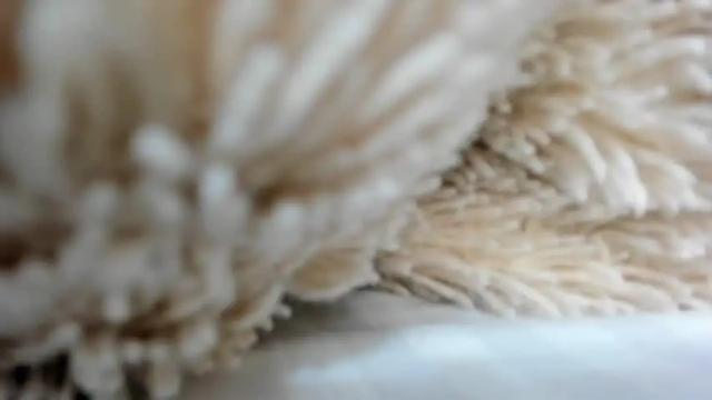 Image 2 of abby_mathews Stream on Chaturbate on 13 months ago