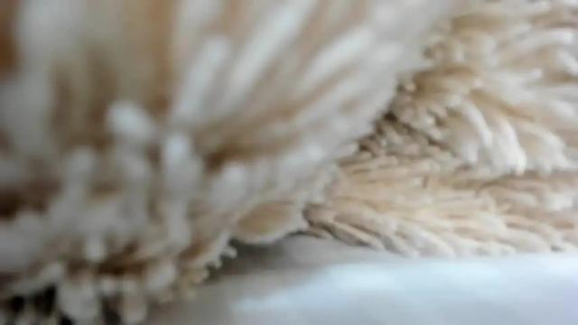 Thumbnail 2, abby_mathews's Stream at Chaturbate, 13 months ago