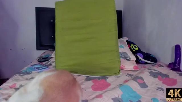 Image 12 of abby_sexygirl1 Stream on Chaturbate on 12 months ago