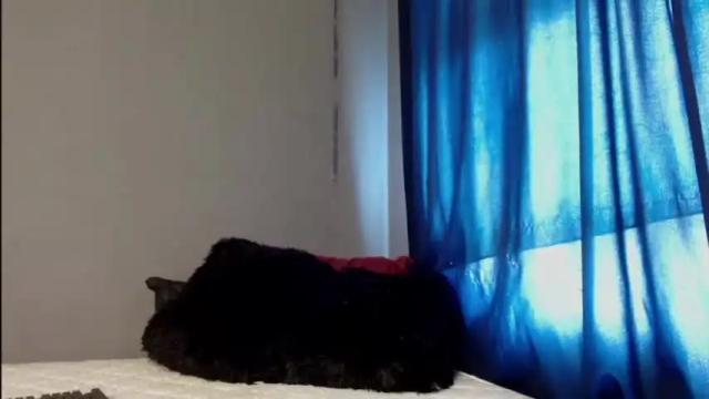 Thumbnail 3, abby_style's Stream at Chaturbate, 21 months ago