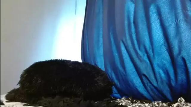 Image 10 of abby_style Stream on Chaturbate on 20 months ago